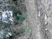 sred prirodata