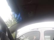 Dickflashing Car 13