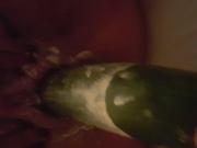 Cucumber