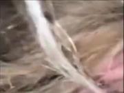 Bitch squirts for bbc amazing dick