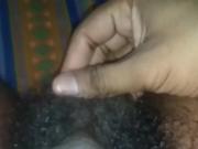 MY DICK