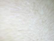 Tight latina pussy riding black dick