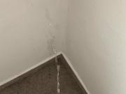 Dirty Carpet Wall Piss