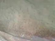 Wifey dildo