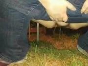 BBW bending down for some outdoor pee in the grass 1