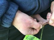 Steph enjoying anal