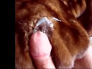 My foot my cock and my cum on one of my mom's mink fur
