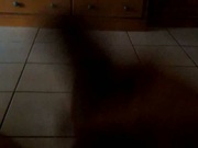 Stroking & Cumming