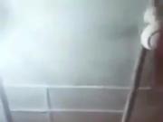 Leek Video 1