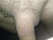 Schwanz und Pussy