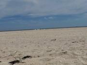 Alone having lots of FUN at the beach