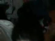 GF gets a rough blowjob from BF's thick white cock