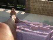 Plat in the sun