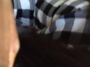 Jailynn AKA The Dick Bully