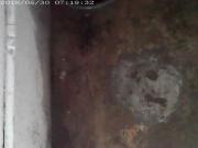 vid 15