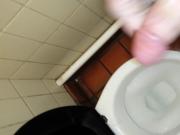 Public toilet masturbating