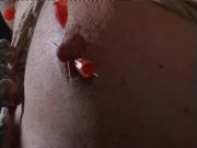 Nipple piercing End Whipping