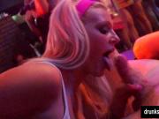 Bi pornstars lick pussies and fuck