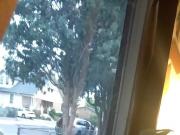 Flashing my neighbor
