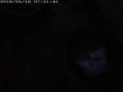 vid 12
