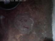 vid 11