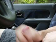 Quick one in car