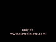 Slaves in love 279