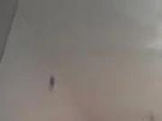 in the shower