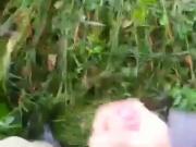 Outdoor masturbation