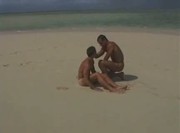 wild beach