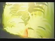 MY VHS SHEMALE TAPES 01