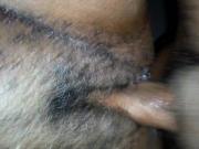 Moaning Session 2