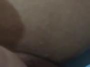 aruba pussy