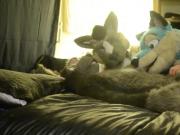 fursuit 1
