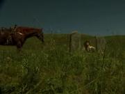 Rawhide with Russian sound