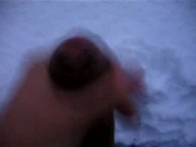Cock in snow 2