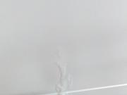 Morning Masturbation II