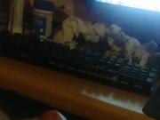 Me cumming