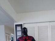 Spidey-Dog, part 1
