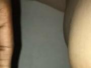 Snowbunny vs plutopuro