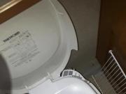 pissing