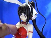 figure bukkake sofInfinite Stratos Houki Shinono190417