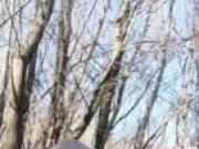 Wild refuges fingerling big tits austrian