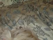 blonde loving getting bbc