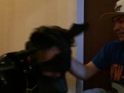 Puppyplay in hallway