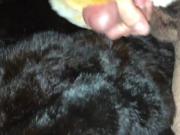 More cum on fur