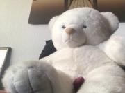 Teddy Bear jerking off with cumshot