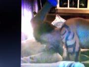 Rachel on her back