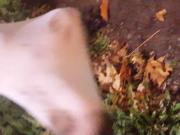 Clean my muddy feet