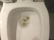 Home piss...